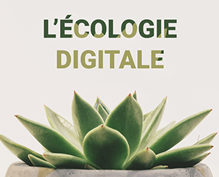 Article sur l'écologie digitale dans une entreprise qui dématérialise